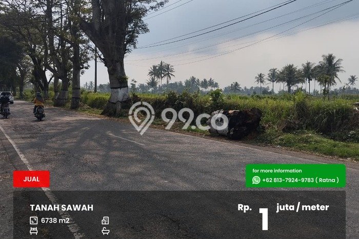 Tanah Dijual Lokasi Pakis, Malang Luas 6738m2 Legalitas Aman Tanah Dijual Lokasi Pakis, Malang Luas 6738m2 Legalitas Aman