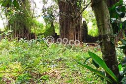 Tanah Dijual Area Strategis di Depok II Depok 3000m2 Tanah Dijual Area Strategis di Depok II Depok 3000m2