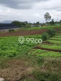 Lahan Dijual Lokasi Cisarua, Bandung Barat dengan Luas Tanah 50000m2 dan Status SHM Lahan Dijual Lokasi Cisarua, Bandung Barat dengan Luas Tanah 50000m2 dan Status SHM