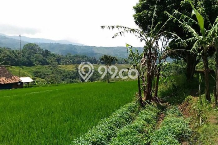 Tanah Kavling untuk Dijual di Cicalengka Bandung 30000m2 Tanah Kavling untuk Dijual di Cicalengka Bandung 30000m2