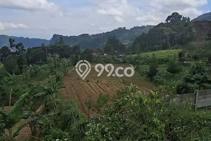 Tanah di Bogor Selatan, Bogor Luas 4832m2 Dijual Segera Tanah di Bogor Selatan, Bogor Luas 4832m2 Dijual Segera
