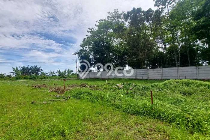 Lahan Dijual Lokasi Pagedangan, Tangerang dengan Luas Tanah 118m2 dan Status SHM Lahan Dijual Lokasi Pagedangan, Tangerang dengan Luas Tanah 118m2 dan Status SHM