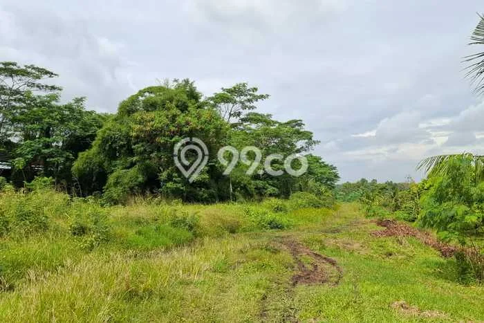 Tanah di Cikande, Serang Luas 4e+06m2 Dijual Segera Tanah di Cikande, Serang Luas 4e+06m2 Dijual Segera