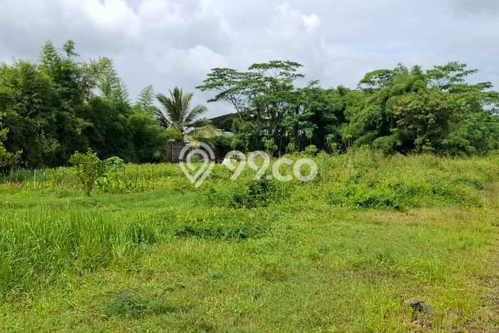 Tanah di Cikande, Serang Luas 4e+06m2 Dijual Segera Tanah di Cikande, Serang Luas 4e+06m2 Dijual Segera