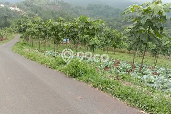 Kavling Tanah untuk Dijual di Majalengka Kota, Majalengka, Luas 370000m2 Kavling Tanah untuk Dijual di Majalengka Kota, Majalengka, Luas 370000m2