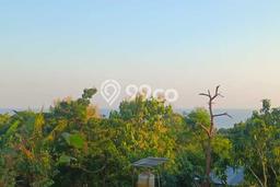 Lahan Dijual Lokasi Kubutambahan, Buleleng dengan Luas Tanah 87000m2 dan Status SHM Lahan Dijual Lokasi Kubutambahan, Buleleng dengan Luas Tanah 87000m2 dan Status SHM