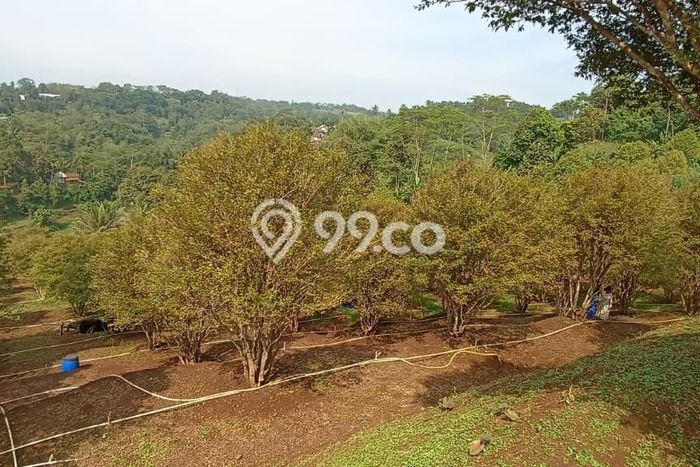 Tanah Kosong Dijual di Sukabumi dengan Area 15000m2 Tanah Kosong Dijual di Sukabumi dengan Area 15000m2
