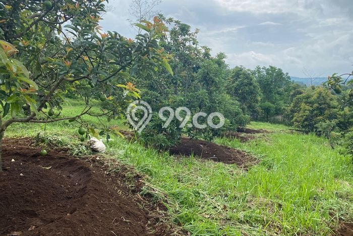 Tanah Kosong Dijual di Sukabumi dengan Area 15000m2 Tanah Kosong Dijual di Sukabumi dengan Area 15000m2