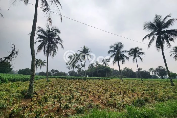 Jarang Ada! Tanah di Kemang Punya Luas 3000m2 - Jarang Ada! Tanah di Kemang Punya Luas 3000m2 -