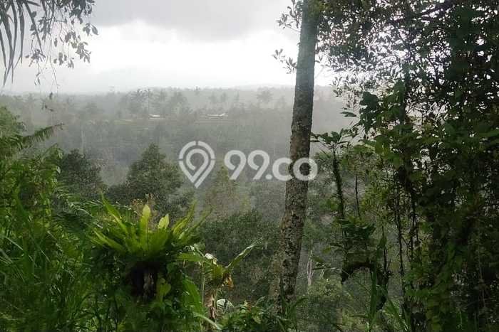 Tanah Kosong Dijual di Gianyar dengan Area 4418m2 Tanah Kosong Dijual di Gianyar dengan Area 4418m2