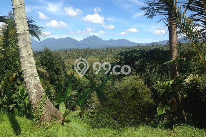 Tanah Kosong Dijual di Gianyar dengan Area 4418m2 Tanah Kosong Dijual di Gianyar dengan Area 4418m2