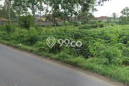Tanah di Gunung Sugih, Lampung Tengah Luas 14000m2 Dijual Segera Tanah di Gunung Sugih, Lampung Tengah Luas 14000m2 Dijual Segera