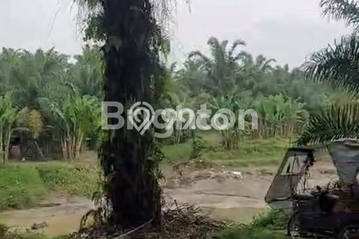Tanah di Sunggal, Deli Serdang Luas 60000m2 Dijual Segera Tanah di Sunggal, Deli Serdang Luas 60000m2 Dijual Segera
