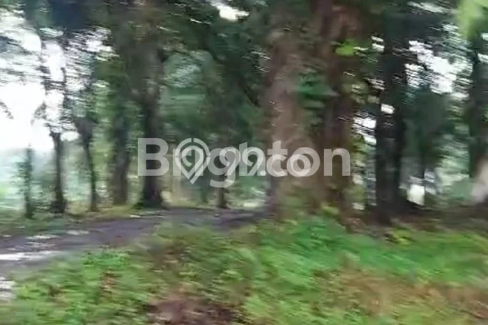 Tanah di Sunggal, Deli Serdang Luas 60000m2 Dijual Segera Tanah di Sunggal, Deli Serdang Luas 60000m2 Dijual Segera