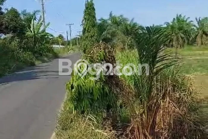 Tanah Dijual Lokasi Pancur Batu Deli Serdang - Tanah Dijual Lokasi Pancur Batu Deli Serdang -