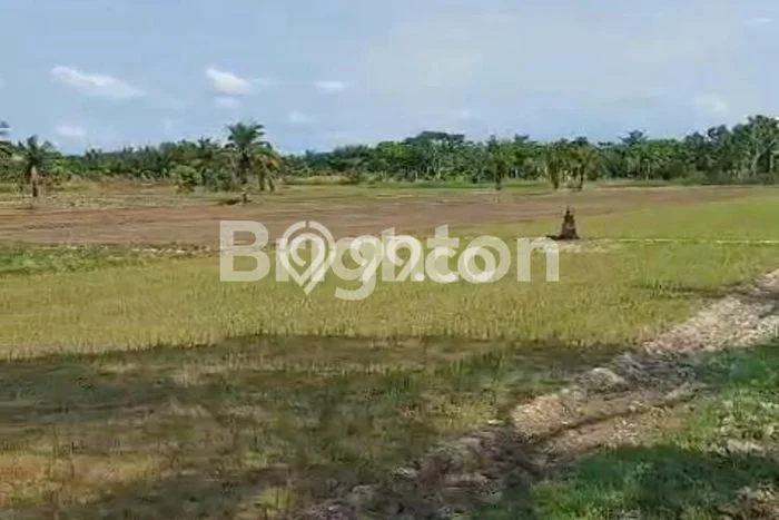 Tanah Dijual Lokasi Pancur Batu Deli Serdang - Tanah Dijual Lokasi Pancur Batu Deli Serdang -