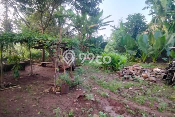 Tanah Dijual Lokasi Natar, Lampung Selatan Luas 132m2 Legalitas Aman Tanah Dijual Lokasi Natar, Lampung Selatan Luas 132m2 Legalitas Aman