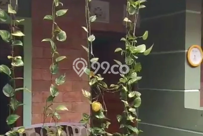 Rumah sewa siap huni 1 KT di Sleman, Yogyakarta Rumah sewa siap huni 1 KT di Sleman, Yogyakarta