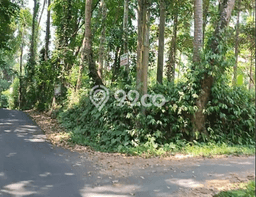 Lahan Investasi Lokasi Ubud Gianyar SHM Lahan Investasi Lokasi Ubud Gianyar SHM