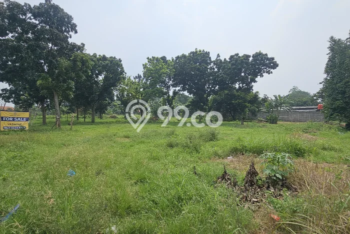 Tanah Kavling Dijual di Tangerang dengan Spesifikasi 9005m2 Tanah Kavling Dijual di Tangerang dengan Spesifikasi 9005m2