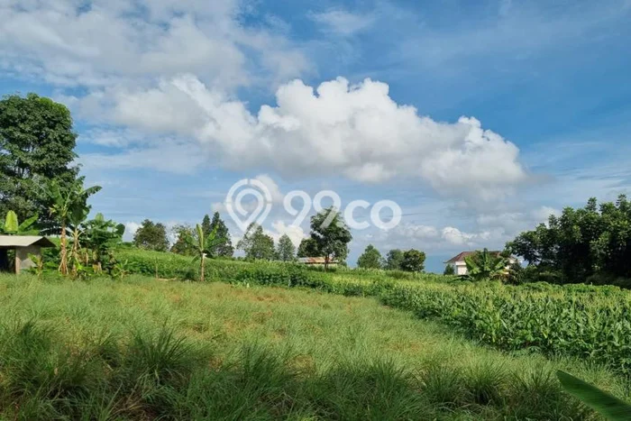 Tanah Kawasan Bogor Selatan, Luas 11465m2m², Area Strategis, Kawasan Nyaman, Bebas Banjir Tanah Kawasan Bogor Selatan, Luas 11465m2m², Area Strategis, Kawasan Nyaman, Bebas Banjir