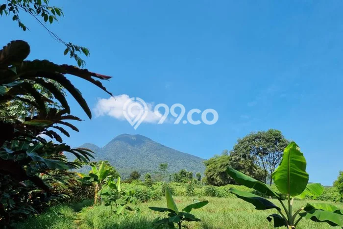 Tanah Kawasan Bogor Selatan, Luas 11465m2m², Area Strategis, Kawasan Nyaman, Bebas Banjir Tanah Kawasan Bogor Selatan, Luas 11465m2m², Area Strategis, Kawasan Nyaman, Bebas Banjir