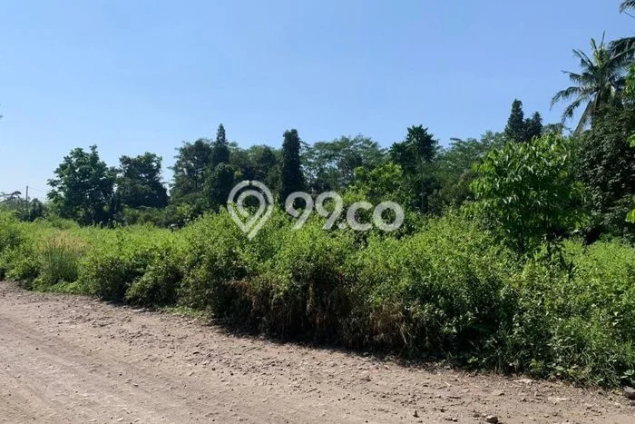 Tanah Area Potensial Kawasan Cianjur, Luas 282000m2m², Kawasan Nyaman, Akses Cianjur, Cianjur, Cianjur Tanah Area Potensial Kawasan Cianjur, Luas 282000m2m², Kawasan Nyaman, Akses Cianjur, Cianjur, Cianjur