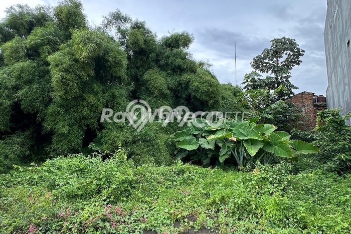 Tanah Kavling Dijual di Jati Padang, Jakarta Selatan dengan Luas Tanah 150m2 Tanah Kavling Dijual di Jati Padang, Jakarta Selatan dengan Luas Tanah 150m2