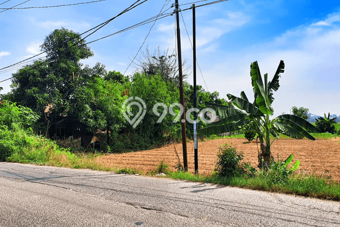 Tanah Dijual Lokasi Babelan Bekasi SHM Tanah Dijual Lokasi Babelan Bekasi SHM
