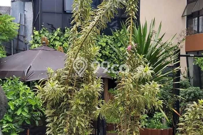Rumah Luxury Modern Siap Huni di Pondok Benda Tangerang Rumah Luxury Modern Siap Huni di Pondok Benda Tangerang