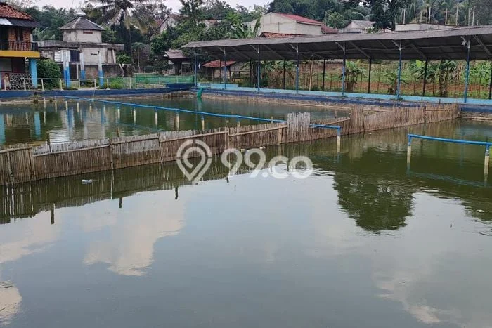 Lahan untuk Dijual di Citeureup Bogor Luas 9000m2 Lahan untuk Dijual di Citeureup Bogor Luas 9000m2