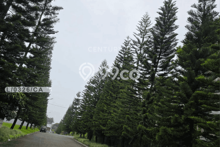 Jarang Ada! Tanah di Parongpong Punya Luas 639m2 SHM Jarang Ada! Tanah di Parongpong Punya Luas 639m2 SHM