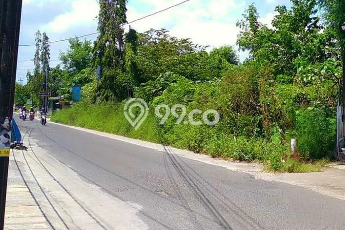 Tanah Kavling di Kasihan Bantul Disewakan dengan Luas 6000m2 Tanah Kavling di Kasihan Bantul Disewakan dengan Luas 6000m2