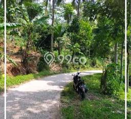 Tanah Dijual Lokasi Bogor Selatan, Bogor dengan Luas Tanah 5932m2 dan Status - Tanah Dijual Lokasi Bogor Selatan, Bogor dengan Luas Tanah 5932m2 dan Status -