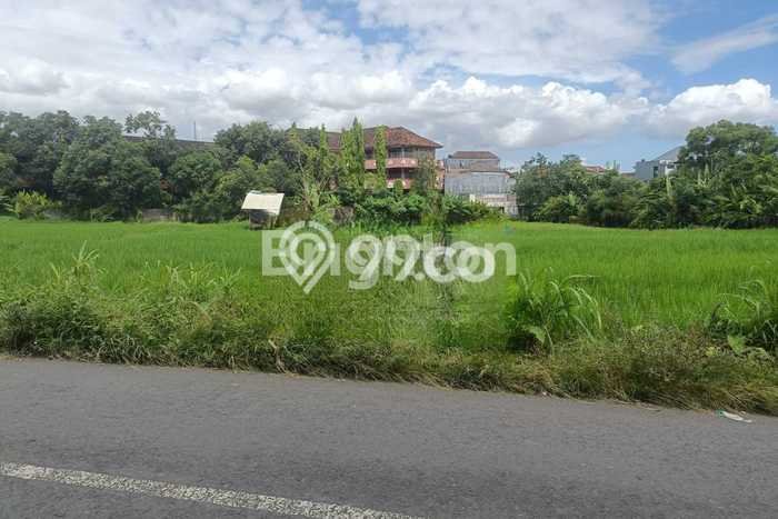 Tanah Disewa Strategis di Badung Luas 5900m2 Tanah Disewa Strategis di Badung Luas 5900m2
