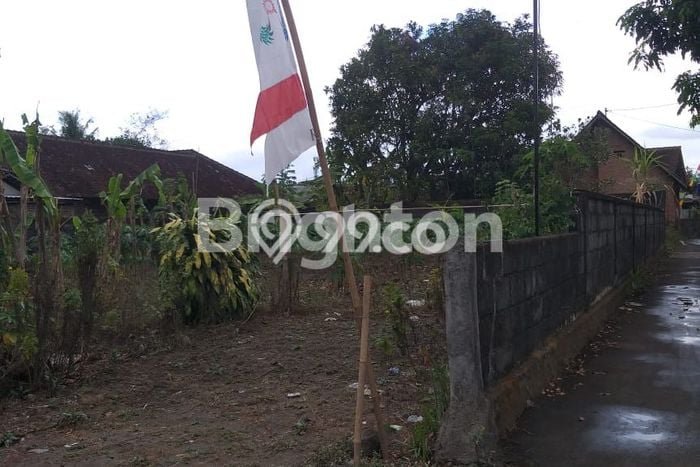 Kavling Tanah di Mlati Dijual Luas 505m2 Legalitas SHM Kavling Tanah di Mlati Dijual Luas 505m2 Legalitas SHM