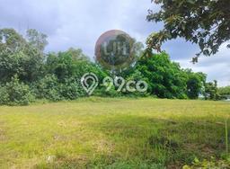 Lahan Kosong Dijual di Batam dengan Area 999m2 Lahan Kosong Dijual di Batam dengan Area 999m2