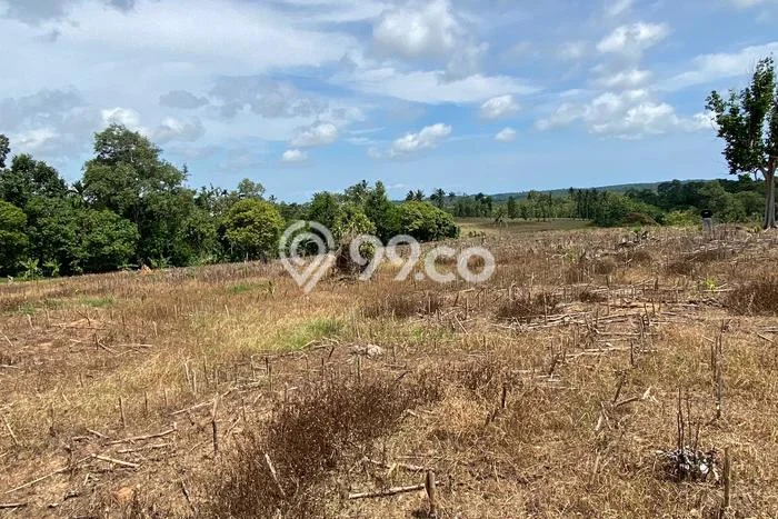 AREA PROSPEKTIF! Tanah di Sidomulyo, Luas 50000m², Dekat Transportasi, Kawasan Potensial AREA PROSPEKTIF! Tanah di Sidomulyo, Luas 50000m², Dekat Transportasi, Kawasan Potensial