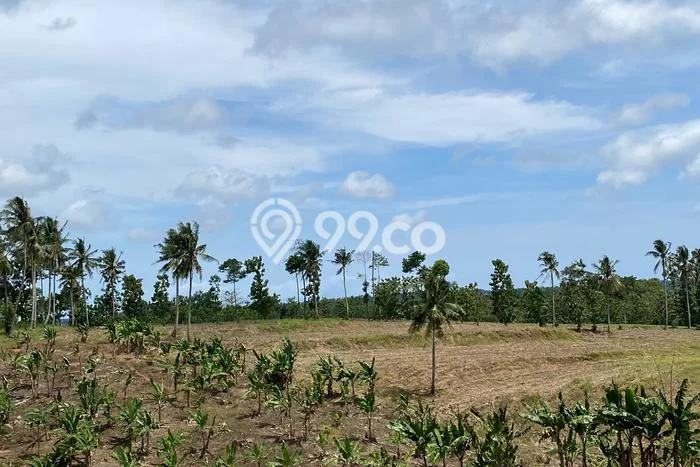 AREA PROSPEKTIF! Tanah di Sidomulyo, Luas 50000m², Dekat Transportasi, Kawasan Potensial AREA PROSPEKTIF! Tanah di Sidomulyo, Luas 50000m², Dekat Transportasi, Kawasan Potensial