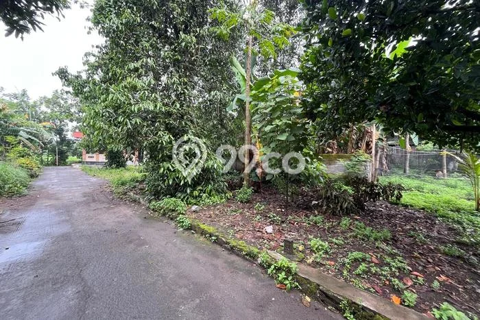 Lahan Investasi Lokasi Jogonalan Klaten SHM Lahan Investasi Lokasi Jogonalan Klaten SHM