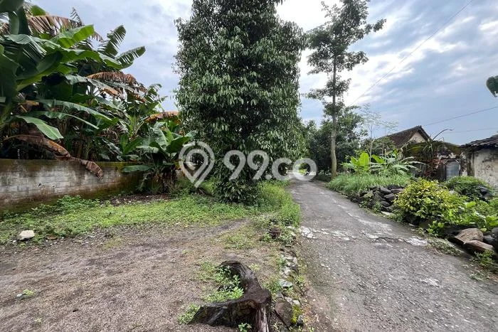 Lahan Investasi Lokasi Jogonalan Klaten SHM Lahan Investasi Lokasi Jogonalan Klaten SHM
