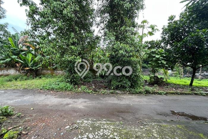 Lahan Investasi Lokasi Jogonalan Klaten SHM Lahan Investasi Lokasi Jogonalan Klaten SHM