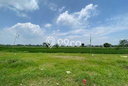 Kavling Tanah di Prambanan Dijual Luas 91m2 Legalitas SHM Kavling Tanah di Prambanan Dijual Luas 91m2 Legalitas SHM