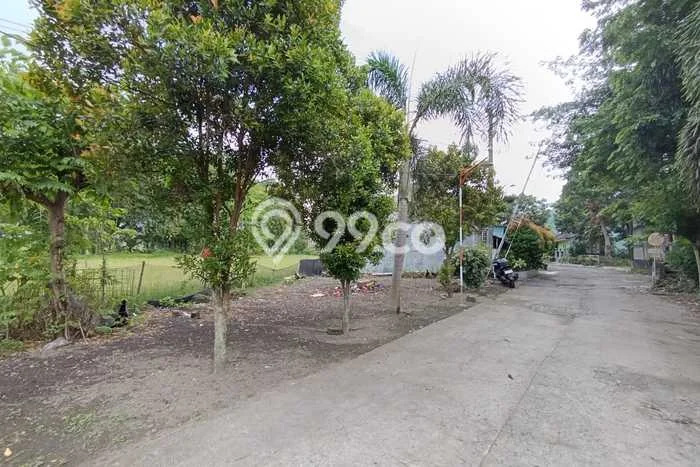 Hunian Murah Dijual Area Prambanan, Klaten Harga Rp 380 Juta Hunian Murah Dijual Area Prambanan, Klaten Harga Rp 380 Juta