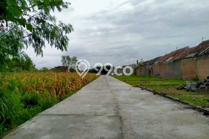 Tanah di Klaten Utara, Klaten Luas 111m2 Dijual Segera Tanah di Klaten Utara, Klaten Luas 111m2 Dijual Segera