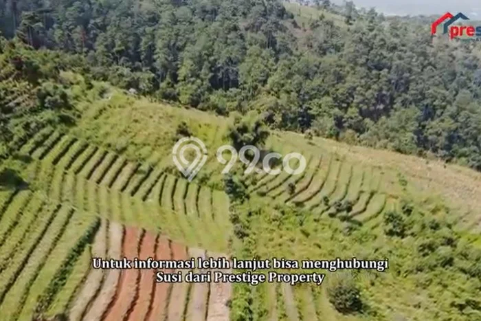 Lahan untuk Dijual di Cileunyi Bandung Luas 150000m2 Lahan untuk Dijual di Cileunyi Bandung Luas 150000m2