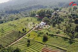 Lahan untuk Dijual di Cileunyi Bandung Luas 150000m2 Lahan untuk Dijual di Cileunyi Bandung Luas 150000m2