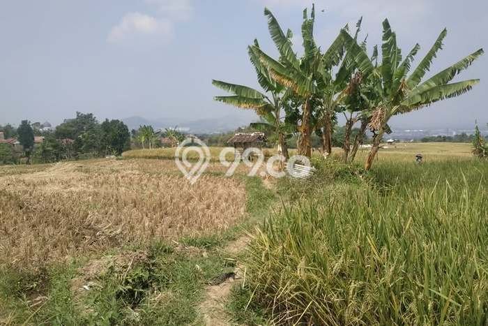 Tanah Dijual Lokasi Ngamprah Bandung Barat SHM Tanah Dijual Lokasi Ngamprah Bandung Barat SHM