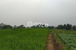 Tanah Dijual Lokasi Ngamprah Bandung Barat SHM Tanah Dijual Lokasi Ngamprah Bandung Barat SHM