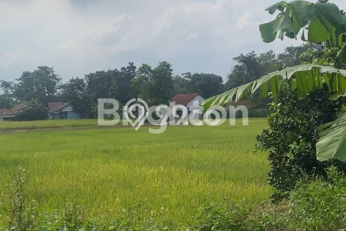 Tanah Dijual Lokasi Legok, Tangerang Luas 935m2 Legalitas Aman Tanah Dijual Lokasi Legok, Tangerang Luas 935m2 Legalitas Aman
